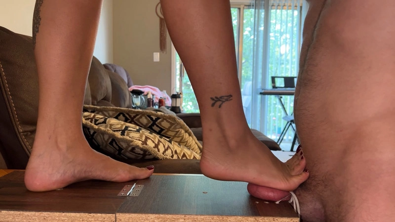 Goddess Ellen – Cruel Ball Trampling